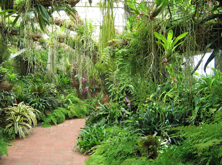 Tropical Plant Conservatory