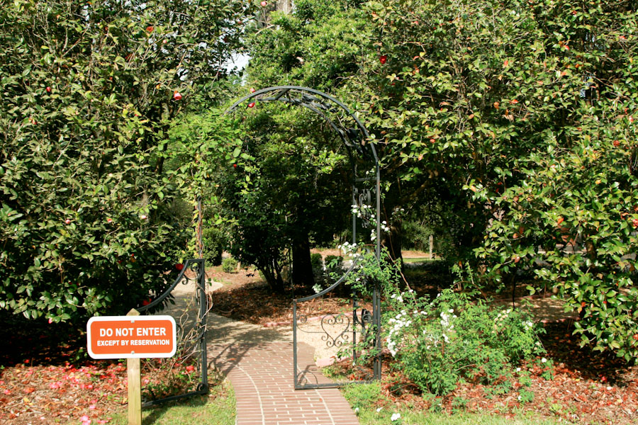 Garden Arbor along Path