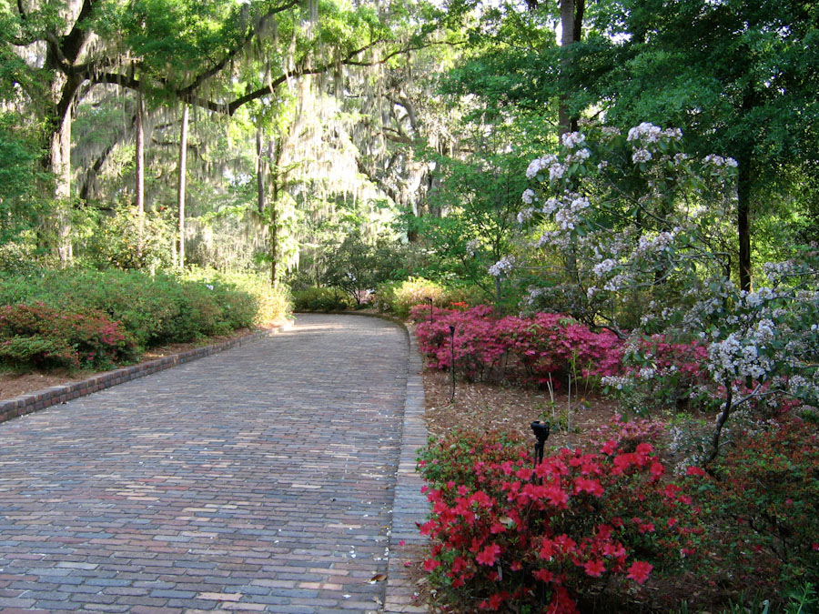 Path in Maclay Gardens