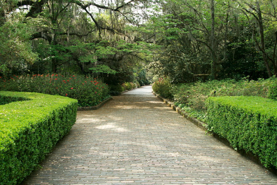 Brick Path in Maclay Gardens