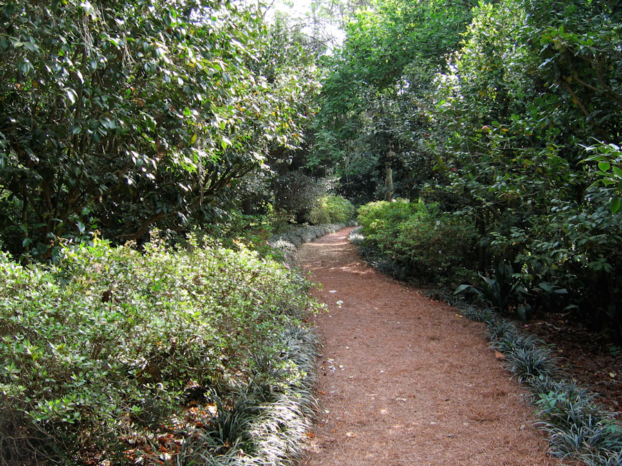 Path in Maclay Gardens