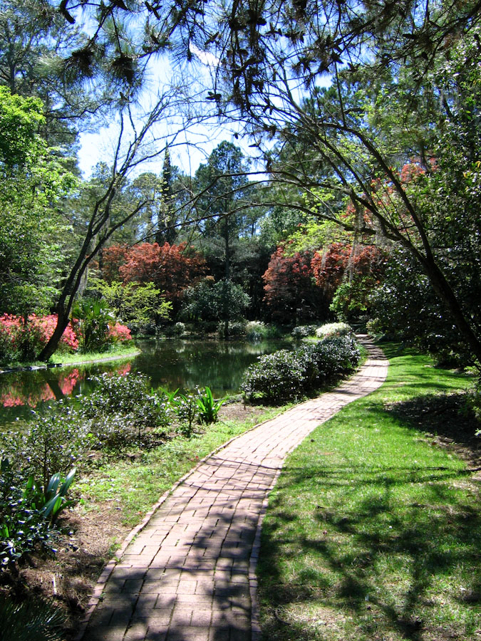 Path by Pond