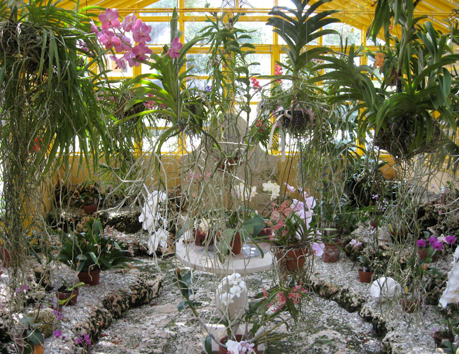 Orchid House