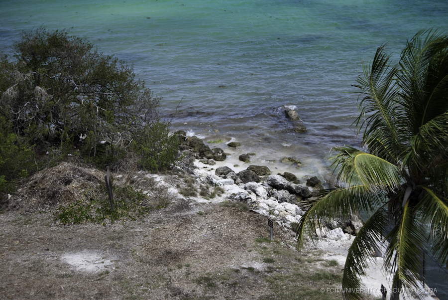 Rocks and Surf at the Entrance to the Bahia Honda Channel
