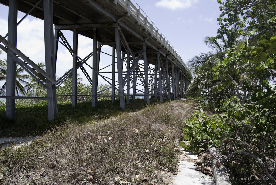 Underside of the Bahia Honda Bridge