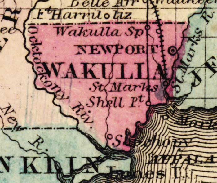 Map of Wakulla County, Florida, 1863
