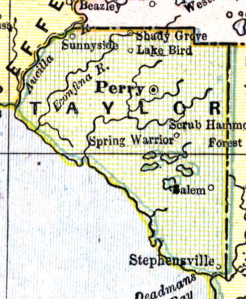 Map of Taylor County, Florida, 1890