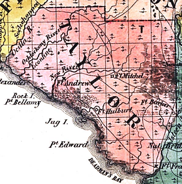 Map of Taylor County, Florida, 1856
