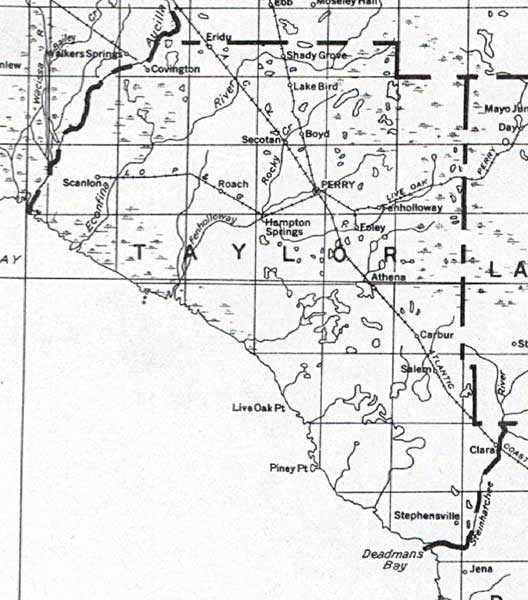 Map of Taylor County, Florida, 1932