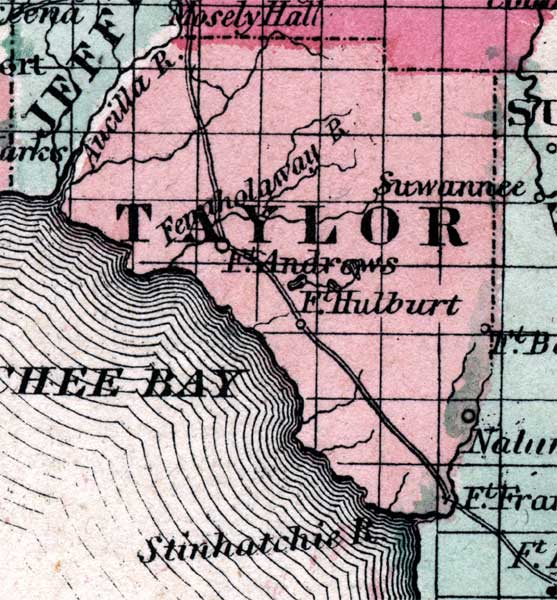 Map of Taylor County, Florida, 1863
