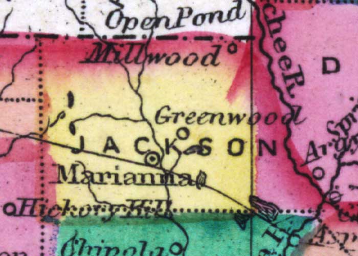 Map of Jackson County, Florida, 1873