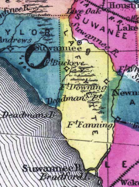Map of Lafayette County, Florida, 1873