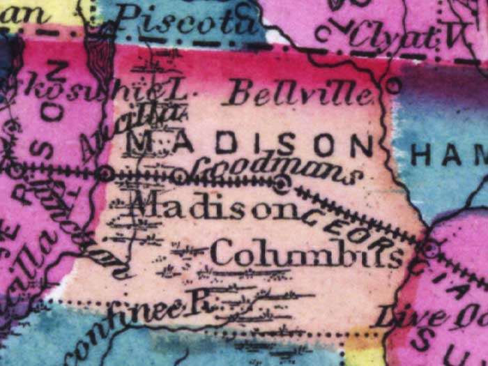 Map of Madison County, Florida, 1873