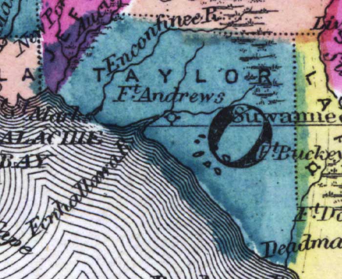 Map of Taylor County, Florida, 1873