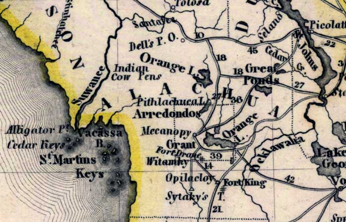 Map of Alachua County, Florida, 1845