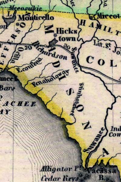 Map of Madison County, Florida, 1845