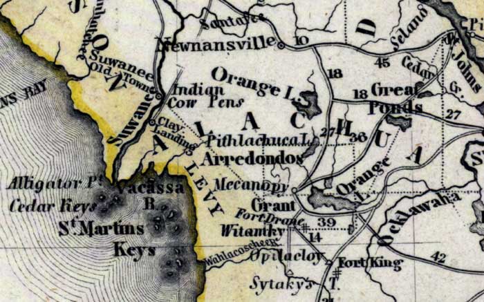 Map of Alachua County, Florida, 1850
