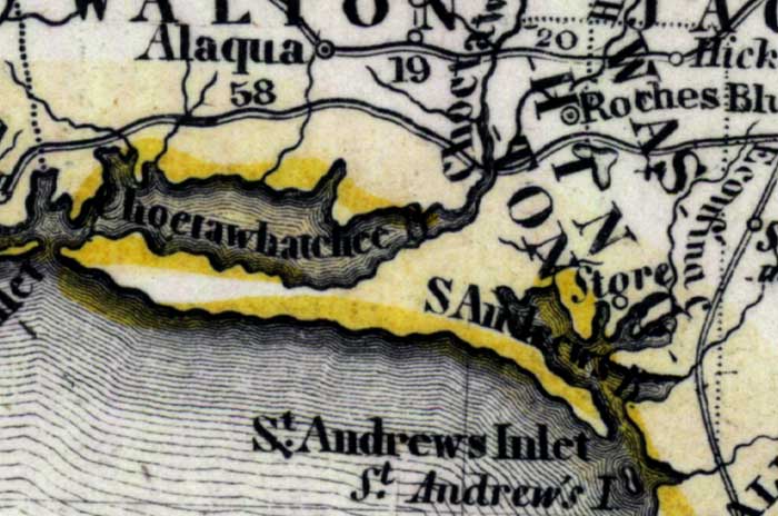 Map of Washington County, Florida, 1850