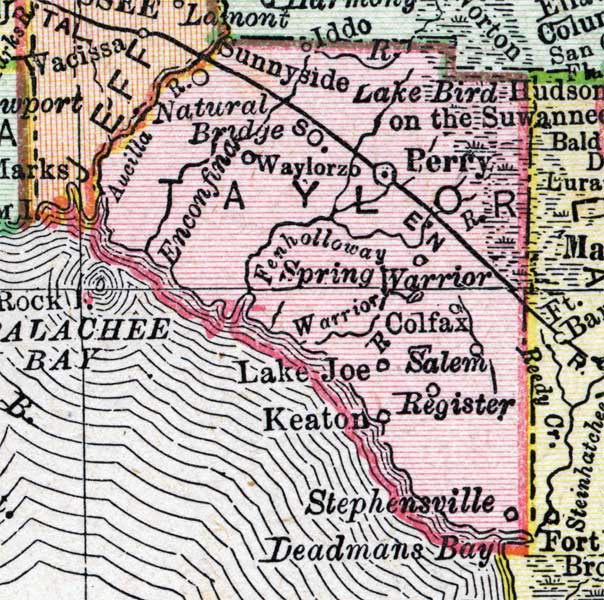 Map of Taylor County, Florida, 1900