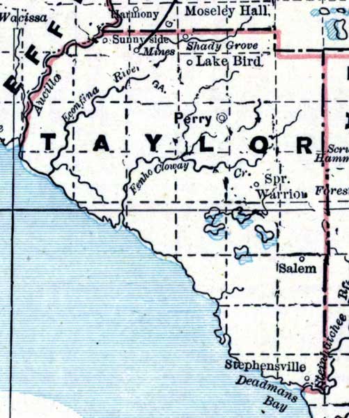 Map of Taylor County, Florida, 1890s