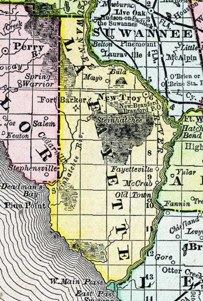Map of Lafayette County, Florida, 1888