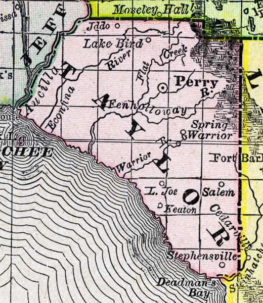 Map of Taylor County, Florida, 1888