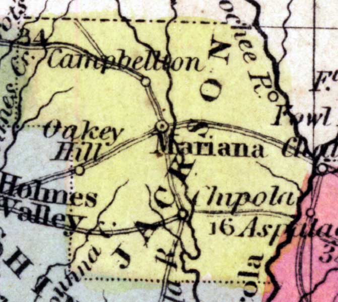 Map of Jackson County, Florida, 1850