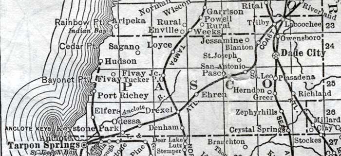 Map of Pasco County, Florida, 1920