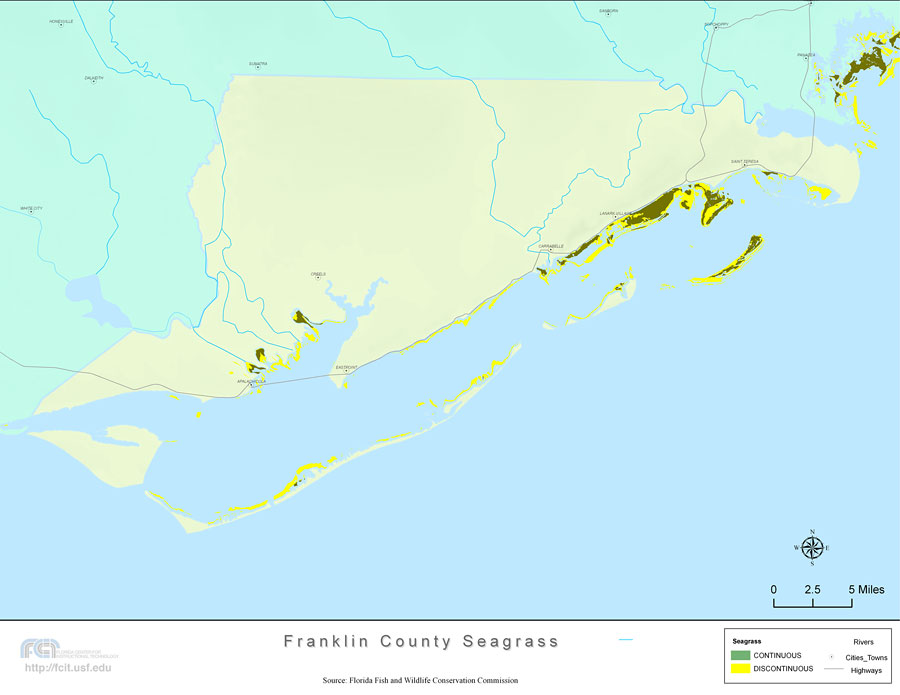 Florida Seagrass: Franklin