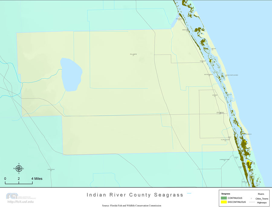 Florida Seagrass: Indian River