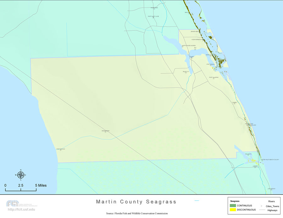 Florida Seagrass: Martin