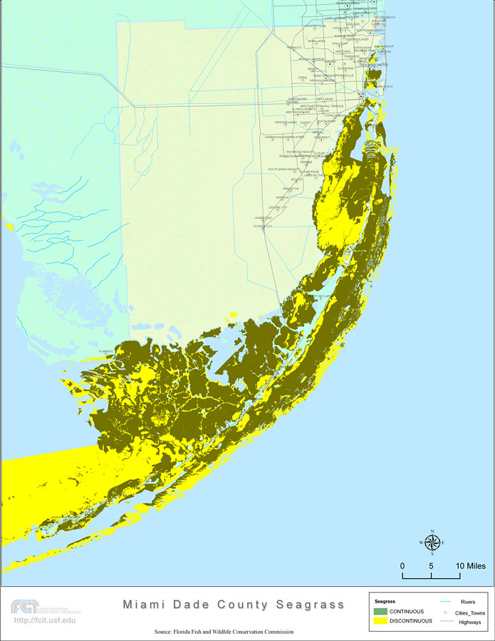 Florida Seagrass: Miami-Dade