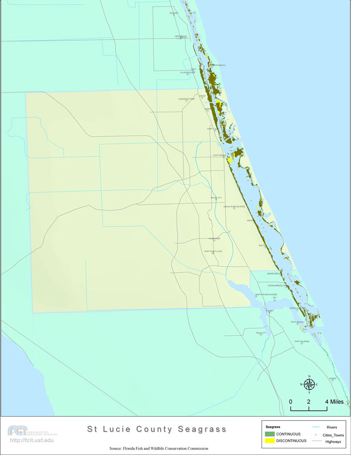 Florida Seagrass: St. Lucie