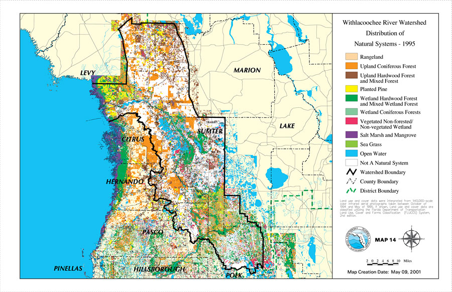 Withlacoochee River Watershed Distribution of Natural Systems - 1995