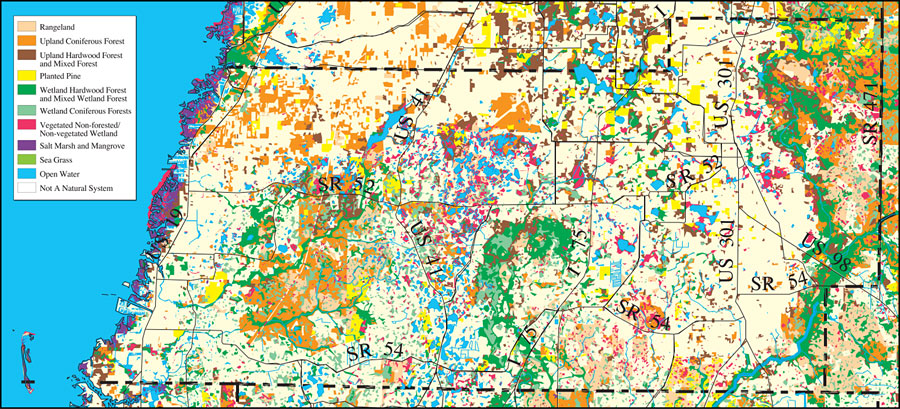 Withlacoochee River Watershed Distribution of Natural Systems - 1995- Pasco County