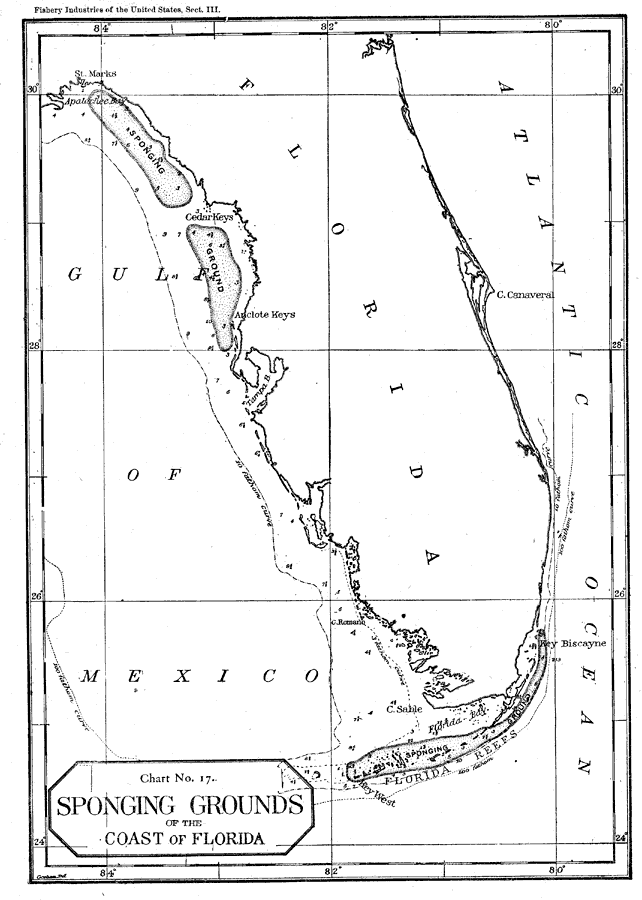 Sponging Grounds of the Coast of Florida