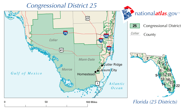 107th Congress - Florida's Congressional District 25