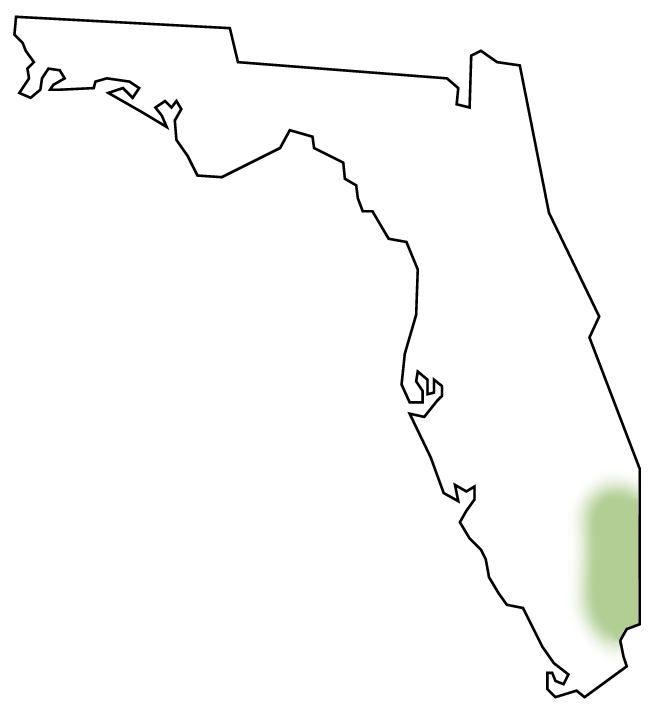 Location of Tequesta Indians