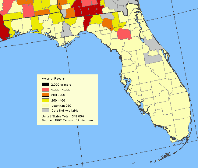 Acres of Pecans