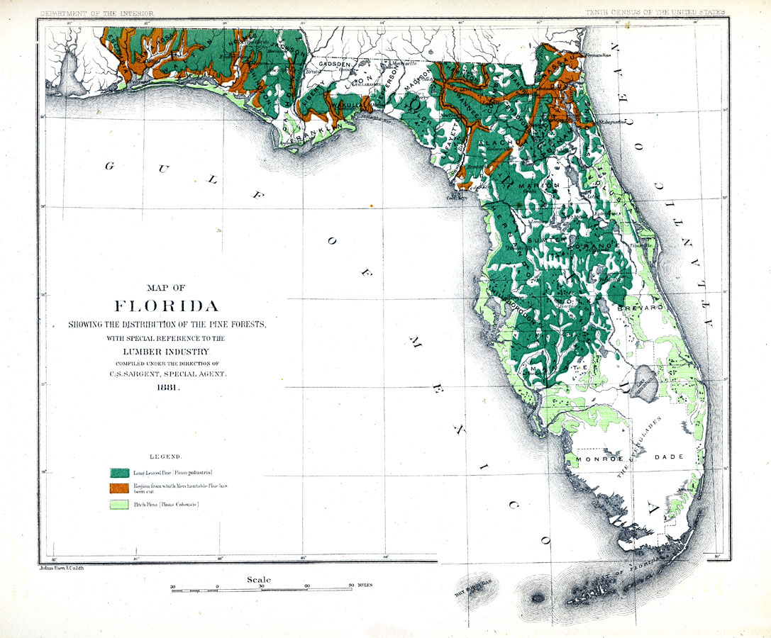 Map of Florida showing the distribution of the pine forests