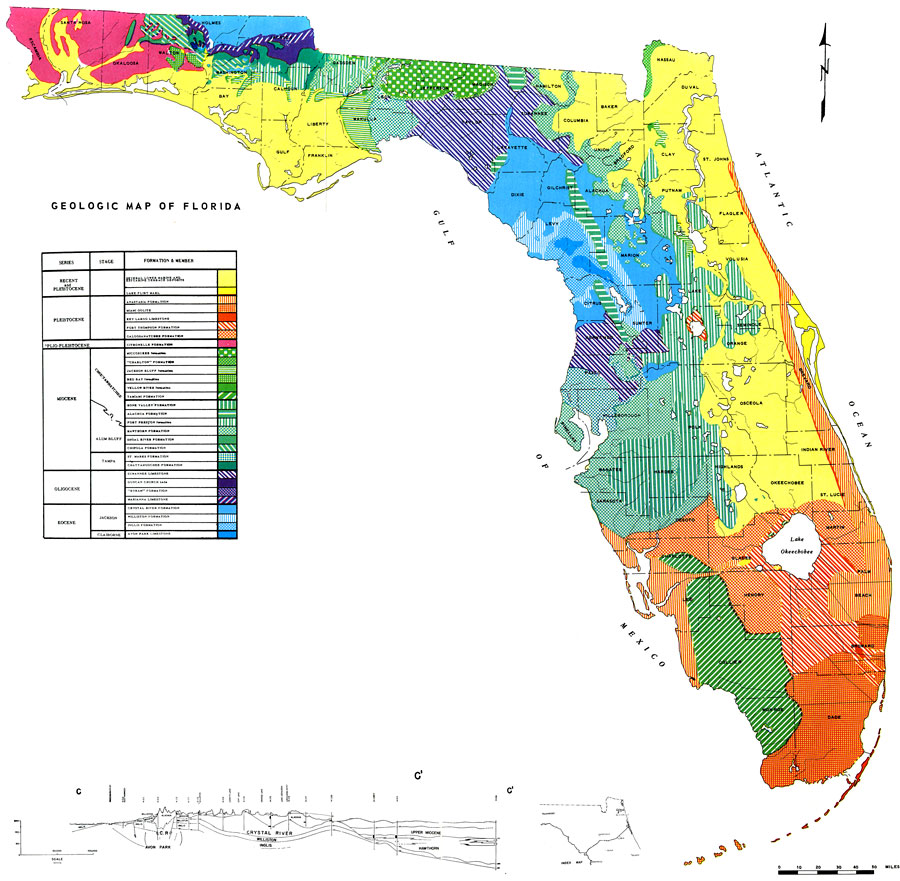 Geologic Map of Florida