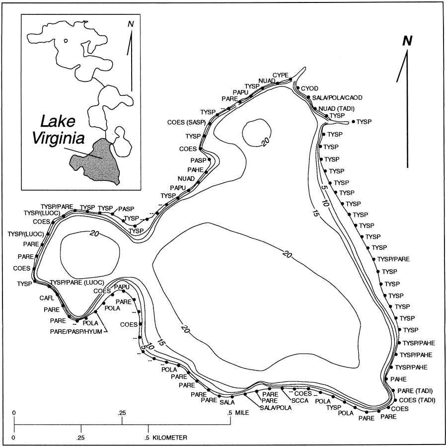 Bathymetry and Littoral Vegetation of Lake Virginia