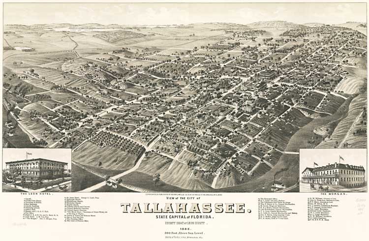 View of the city of Tallahassee, State capital of Florida
