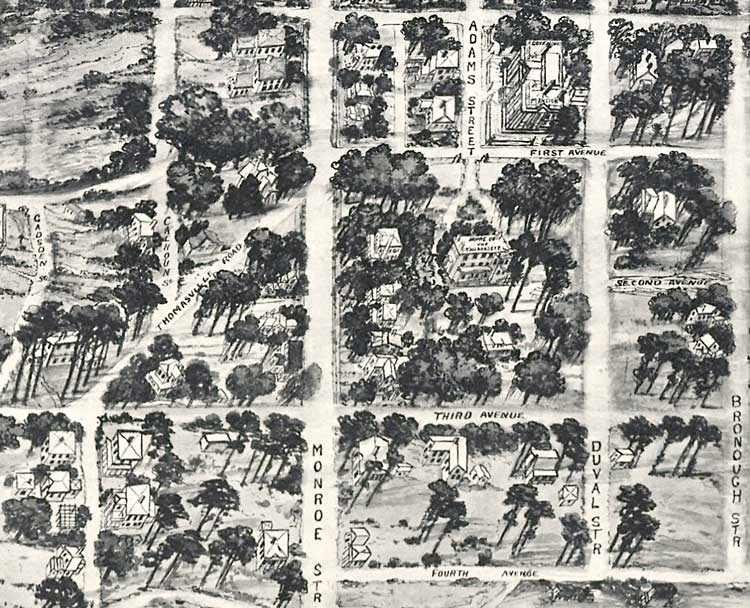 Detail from an Aero-View of Tallahassee