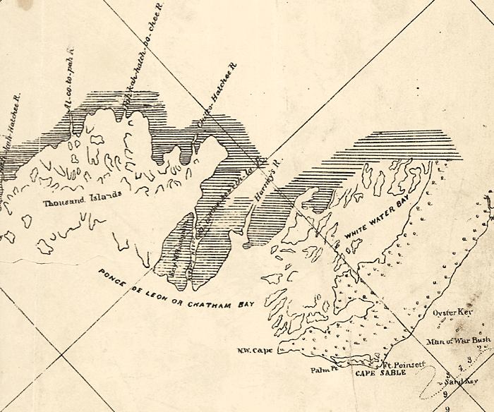 Detail - Preliminary chart of the northeastern part of the Gulf of Mexico