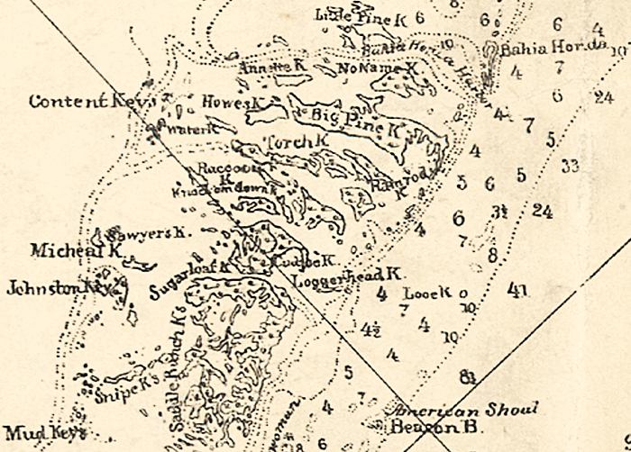 Detail - Preliminary chart of the northeastern part of the Gulf of Mexico