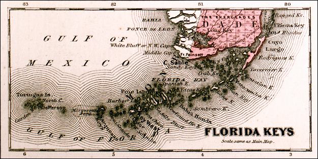 Detail - Johnson's Florida