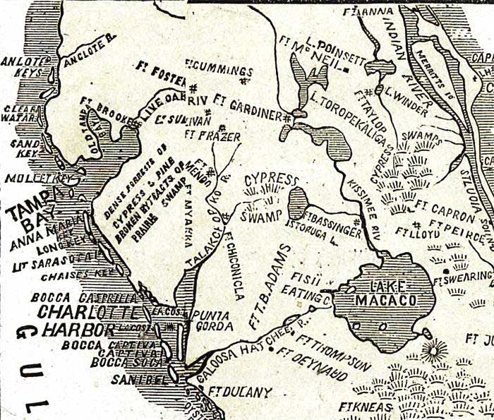 Detail - Lloyd's new military map of the border & southern states 