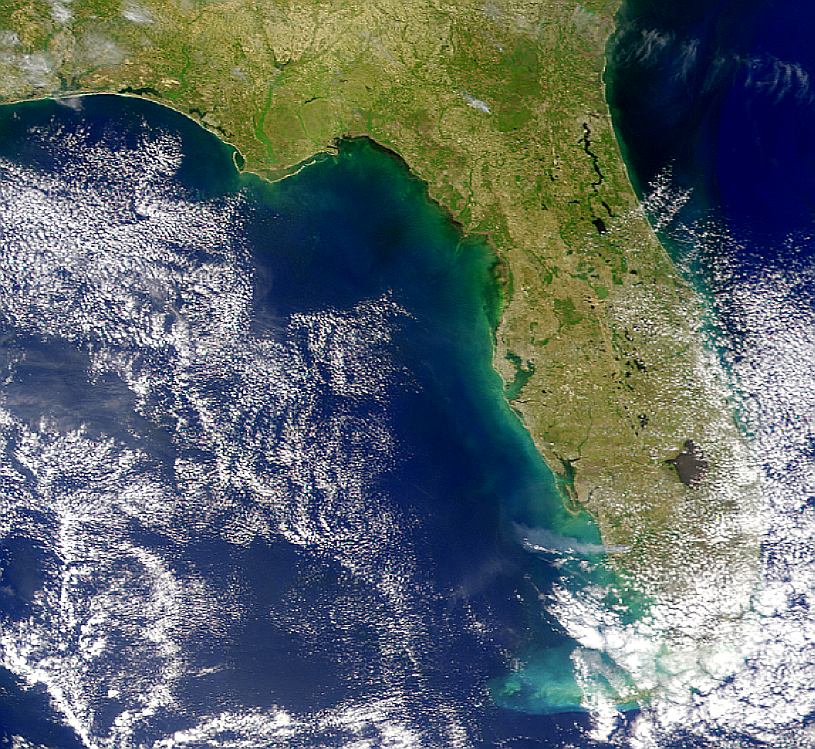 Smoke Plume from Florida Fires