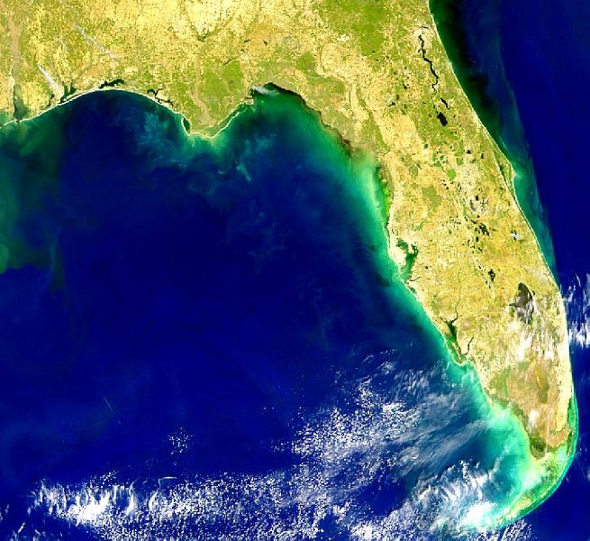 Red Tide Along Florida Panhandle